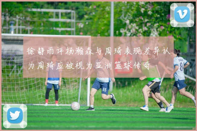 徐静雨评杨瀚森与周琦表现差异认为周琦应被视为亚洲篮球传奇