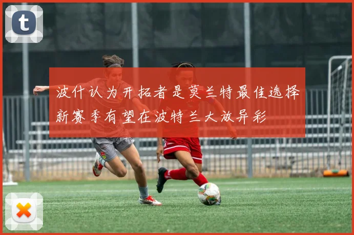 波什认为开拓者是莫兰特最佳选择新赛季有望在波特兰大放异彩